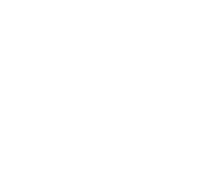 Space Ranker Logo White